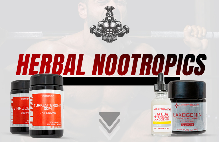 Herbal Nootropics